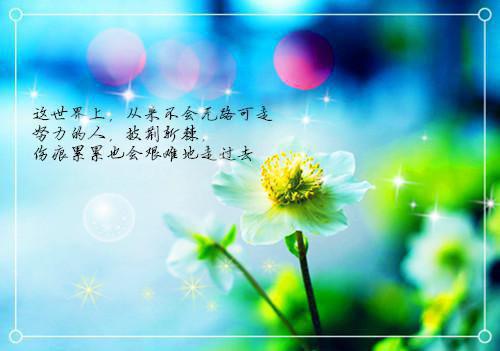 安小雨谢凛小说叫什么 小雨未删减小说