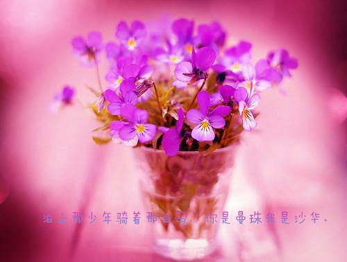 宋清殊楼珏是哪部小说 折堕宋清殊楼珏小说