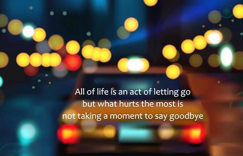 苏清妍周执野是哪部小说 苏清妍周执野by某君免费阅读