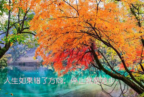 姜闻曦时阔宁小可是哪部小说的主角 《协议婚姻倒计时，他急着去见心上人》全文无弹窗