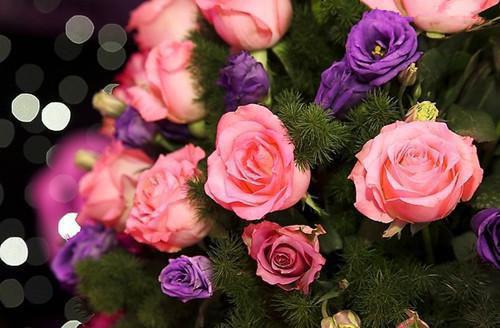 贺朗苏晴林旭阳免费阅读最新章节 隐婚老婆与助理签对赌协议，我重回华尔街短篇小说