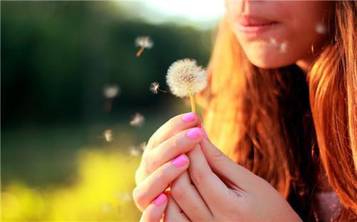 苏怀妤顾辞时是哪部小说 苏怀妤顾辞时笔趣阁