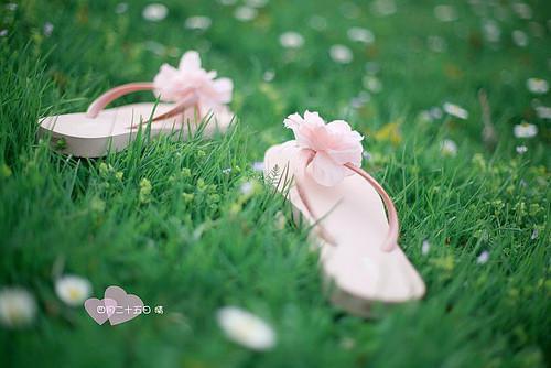 棠棠陆淮枭小说免费阅读最新章节 晚云遮尽棠前月知乎棠棠陆淮枭