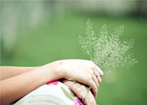 弃夫(冯季宣秦知月窈娘)全文浏览_弃夫全文免费阅读