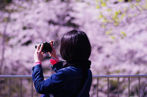 沈奕涵小说名字 叛逆皇后闪婚豪门恶少短篇小说