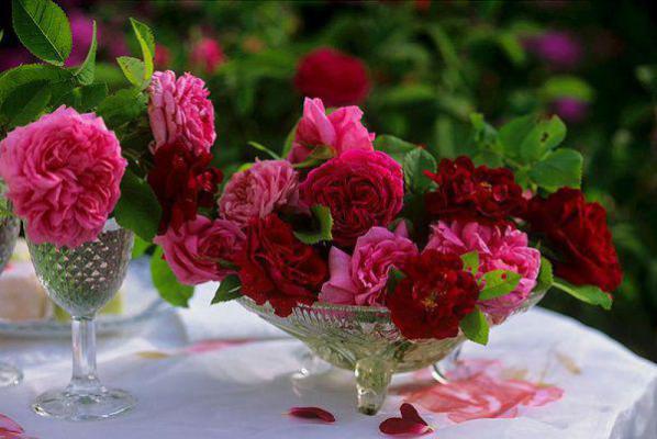 招娣大结局后续 重生后，我选择屠户当爹招娣全文