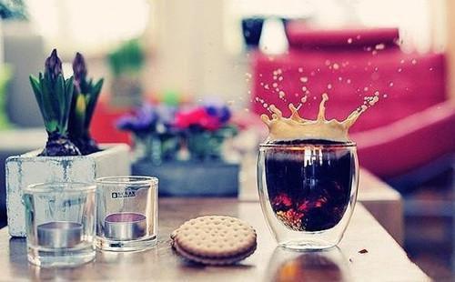 沈锦婳谢嘉琛谢川行的小说叫什么 沈锦婳谢嘉琛免费阅读沈锦婳谢嘉琛谢川行小说