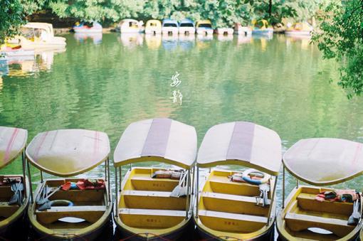 顾今屿陈易安姜明芷免费阅读最新章节结局 重生后,我不再为毁掉百亿冻精的实习生兜底免费阅读