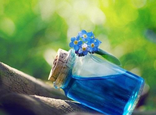 傅青芜裴桓的小说叫什么 他风光入京,我C位出殡(小说家)免费阅读