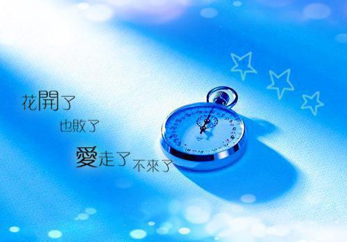 裴宴我小说叫什么名字 隐婚三年，他捧白月光，我转身离开全文最新更新内容