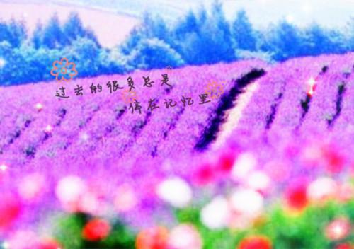 阮禾靳斯砚和谁在一起了 第二封情书小说免费阅读全文最新章节