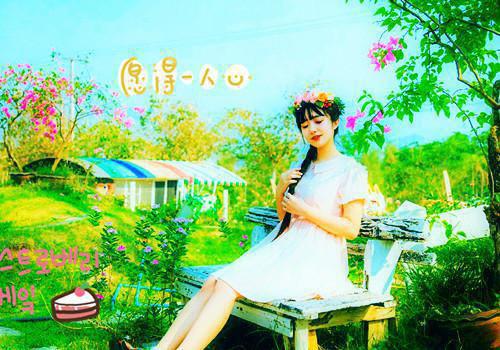 谢尽长安花优质全章沈照霜宁砚完结版+番外最新章节列表（谢尽长安花优质全章沈照霜宁砚完结版+番外）