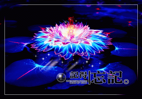 沈沐柒傅砚寒最新章节列表 北风秋霜覆往忆免费阅读全文