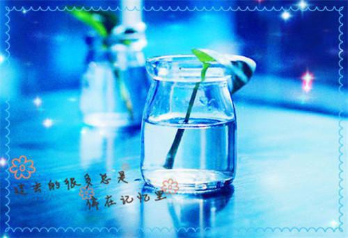 周乐潼周乐允小说叫什么名字 爸妈给我的偏爱，其实都是假象!by大神免费阅读