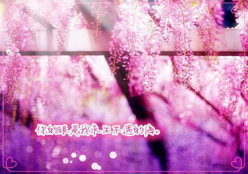 陆温杳霍祁钺赵欣儿:+后续+结局(陆温杳霍祁钺赵欣儿)完结版全文免费阅读_陆温杳霍祁钺赵欣儿:+后续+结局大结局全章节阅读(陆温杳霍祁钺赵欣儿)