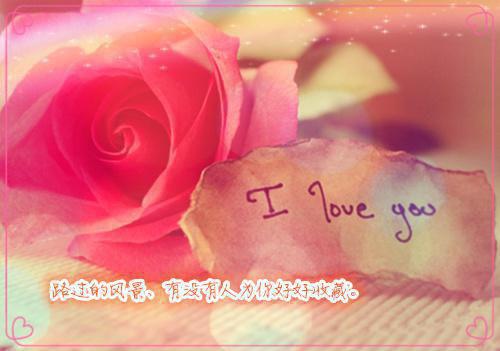 终随雁影各西东：+后续+结局精选作品之一（倪安程希）最新章节列表_终随雁影各西东：+后续+结局精选作品之一全文阅读