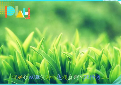 薛子明笔趣阁 重生当房东，截胡兄弟未婚妻开始薛子明全文