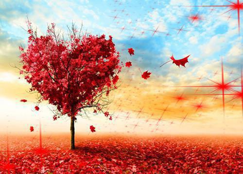 贫困生姐姐存款被转以后,妹妹杀疯了(林钰于娅)最新章节_贫困生姐姐存款被转以后,妹妹杀疯了全文阅读