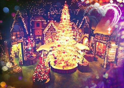 江晚谢景之小说免费阅读全文 你为过客,我揽星河:后续免费阅读