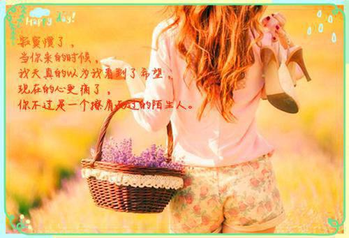 江寻澈裴静娇的最新章节更新时间 逼婚后他成了全网黑全文免费阅读