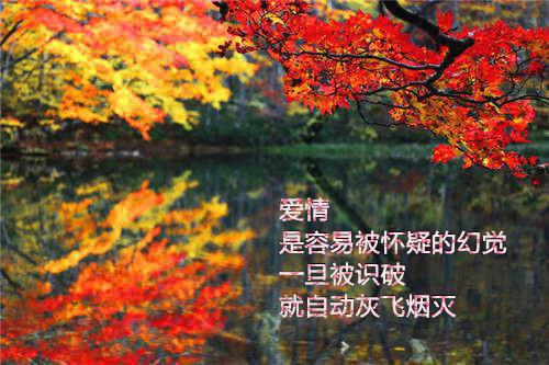 叶与微程景辞程予砚小说名 何处清风知我意：后续免费阅读小说