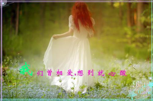 陈最施忆唐柔林序白小说名 施忆最新章节更新