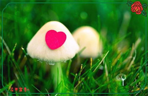 下个路口不再遇你陆安晴何牧川陈易瑶小说全文章节阅读