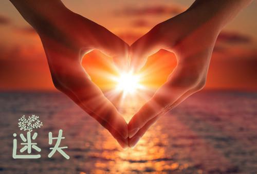 洛惜盛京沉小说名字 情非得已笔趣阁