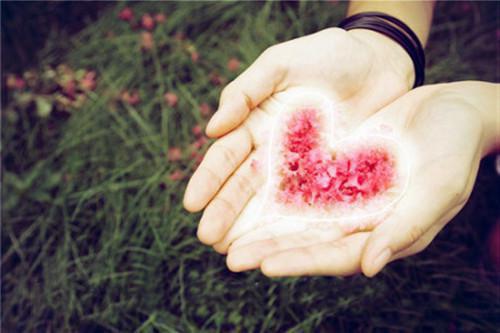 月落难寻归雾里(温清辞陆北琛简思悦)小说全章节目录阅读