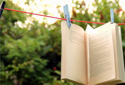 最新章节太子溺亡后，我登基为帝：番外（薛红竹）_太子溺亡后，我登基为帝：番外薛红竹小说免费阅读