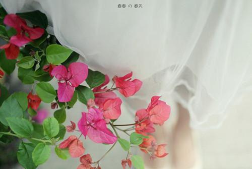 赵怡怡赵乐儿程若博的最新章节小说 听到妈妈心声后,全家疯魔了小说免费阅读全文最新章节