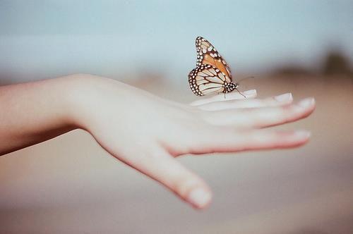 沈清钰丹阳公主沈清云免费阅读最新章节 皇太女要嫁庶弟小说沈清钰丹阳公主沈清云免费阅读