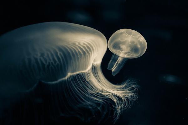 出狱后，诬陷我的妻子和小助理悔疯了江南晨苏月李城短篇全文免费 出狱后，诬陷我的妻子和小助理悔疯了江南晨苏月李城小说在线阅读