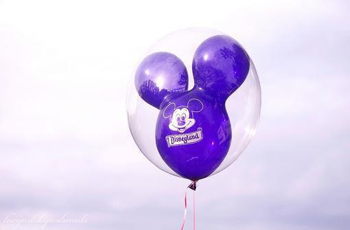 夏沫陆泽小说在线阅读 秋里雨伞原著在线阅读