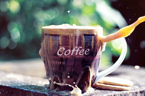 闻雪意裴渡裴昭免费阅读 错嫁裴二叔免费阅读小说