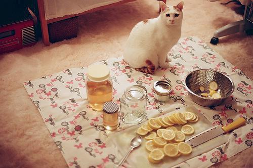 姜绾谢聿珩姜延许青棠大结局后续 青丝绾尽离别意：后续最新章节更新