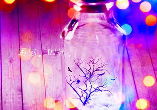 顾晋臣沈琳苏最新章节更新 沈琳苏顾晋臣小说顾晋臣沈琳苏免费阅读