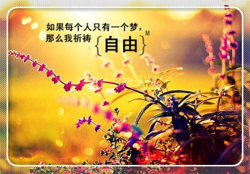 翘翘季明舒免费阅读最新章节 男友承诺万彩礼,最后我倒欠万电子书