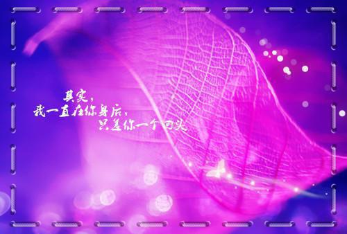 霍祁钺陆温杳_陆温杳霍祁钺:前言+后续免费阅读无弹窗大结局_（霍祁钺陆温杳）陆温杳霍祁钺:前言+后续最新章节列表_笔趣阁（陆温杳霍祁钺:前言+后续）