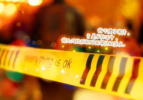 盛凝程景承最新章节更新状态 金主的私有物：爱与虐的边界小说