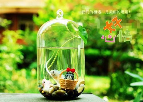 顾阮清裴怀瑾裴司野大结局后续 顾阮清裴怀瑾结局