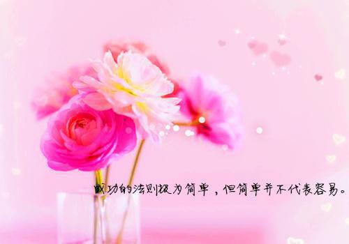 桑予歆严绥之免费阅读最新章节结局 桑予歆严绥之桑予歆严绥之全文