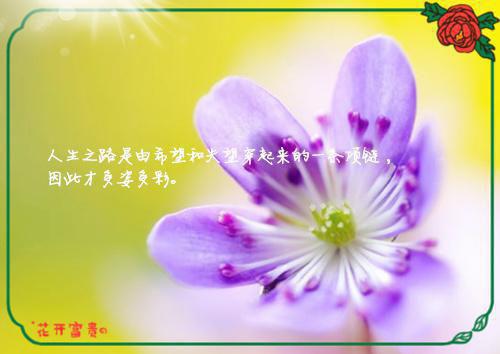 顾如霜钟逸舟结局 春节自驾回家，老公把怀孕的我扔在服务区小说正版免费阅读