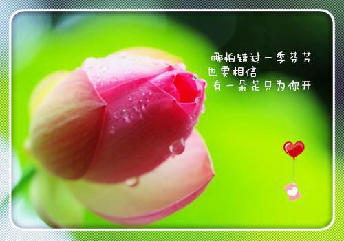 肖景鹤姜婉宁小说叫什么 肖景鹤姜婉宁全文免费阅读