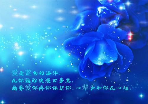 丛月的小说叫什么 师尊他活腻了原著在线阅读