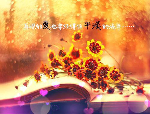 乔佑傅黎免费阅读 断随残雪化春湖小说乔佑傅黎免费阅读全文