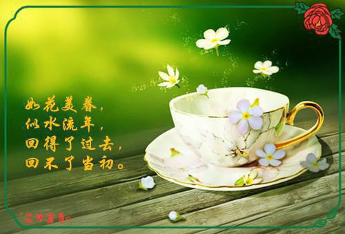 宋诗晴执明笔趣阁免费阅读 宋诗晴执明最新章节更新