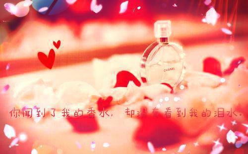 童从霜林北望颜晓熙和谁在一起了 霜落萤火时：后续在线阅读