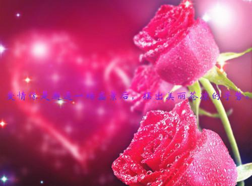 宋婉意霍知言陆潇潇小说免费阅读最新章节 女主抢我男朋友我看到了弹幕小说宋婉意霍知言陆潇潇免费阅读全文