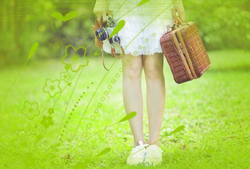 许乐薇陆尧是哪部小说 我给老公生下一窝高智商儿子后原著在线阅读